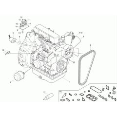 Engine Assembly for Neuson 1501