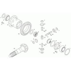 Differential Axle Assembly