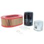 Filter Kit 2-3l/M41 (INTERNAL) Light, Genuine Hatz Part, OEM No. 02266500