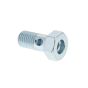 Banjo Bolt for Hatz 2L40, 3L40, 4L40 Engine - OEM No. 03724800