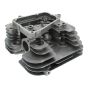 Complete Head Cylinder for Kawasaki FR651V, FR691V, FS651V Engines - OEM No. 110080987