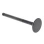 Valve, Intake fits Yanmar L100N Diesel Engines - 114310-11100