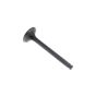 Valve Exhaust for Kawasaki FE290D Engines - OEM No. 120052077