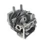 Cylinder Complete for Honda GXV530U (GJAEK), GCV520 (GJAKM) Engines - 12100-Z0A-406