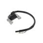 Igniter for Kubota Machines - OEM Number 12623 67050