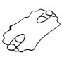 Oil Cup Gasket for Loncin LC2P80F Engine - OEM No. 170050030-0001