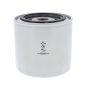 Hydraulic Filter for Terex Machines - OEM No. 1701-363