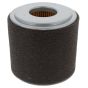 Element Air Cleaner for Honda GX160UT2 Engine - 17210-Z0V-781