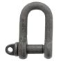 Alloy Steel D Lifting Shackles