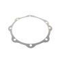 Shim .010" for Lister Petter ST1 Engine - OEM No. 201-80114