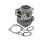 Cylinder & Piston Assembly for Husqvarna K760 Disc Cutter - OEM No. 581 47 61-03