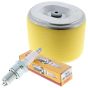 N/G Service Kit for Belle DSXA01 Floor Saw