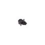 Holder Stop Switch Cord for Honda HRB423-SXE Mowers - 36103-ZE1-000