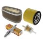Service Kit for Kawasaki FC400V, FC401V, FC420V Engines - 400 428