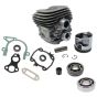 Cylinder and Bearing Kit, Non Genuine for Stihl TS410