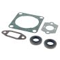 Gasket Set for Stihl FR350, FR450 Backpack Brushcutter - OEM No. 4134 007 1050