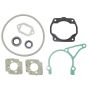 Set Of Gaskets for Stihl TS400, TS400 - 4223 007 1050