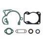 Set Of Cylinder Gaskets for Stihl TS480i, TS500i Disc Cutters - OEM No. 4250 007 1600