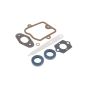 Gasket Set for Stihl BR800 Blower - OEM No. 4283 007 1600