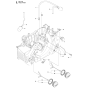 Fuel System for Husqvarna 455e