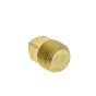 Pipe Plug for Wacker Neuson CRT36, CRT48 Power Trowel - OEM No. 5000172971