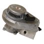 WM 80 Engine for Wacker Neuson BS50-2i, BS60-2i Rammer - OEM No. 5100009684