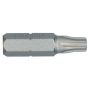 Torx Insert Bit 25mm Size 40 for Addax - 2 Pack