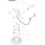 Ignition System for Husqvarna 545G