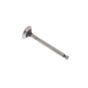 Valve, Exhaust for Kohler Engines
