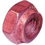 Copper Flashed Manifold Nuts