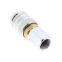 PCL 100 Series Female Thread Coupling RP 1/2" (D/PK) - AC5JF05