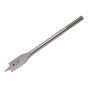 Black & Decker Flat Bits
