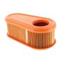 Oval Air Filter Cartridge fits Briggs & Stratton Professional Series 7.758.5 and 8.75 HP engines - 795066