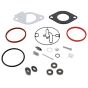 Kit-Carb Overhaul for Briggs & Stratton 215702 Engines - OEM No. 796184
