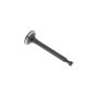 Valve-Exhaust - Briggs & Stratton - 797199