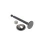 Valve-Exhaust - Briggs & Stratton - 797199