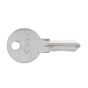 Replacement Plant Key - C105 - Sold Individually