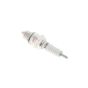 Genuine NGK Spark Plug No. D8HA