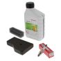 Service Kit for Honda EU20i, EU22i Generator - 06211-Z07-000