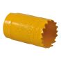 Varipitch Holesaw 30mm by Faithfull