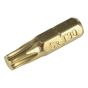 Torx Screwdriver Bits