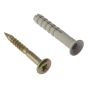 Hammer Fixing & Plug M6 x 60mm Bag 10 by Forgefix - 10HF660