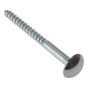 Mirror Screw Chrome Domed Top Slotted CSK ST ZP 3/4in x 8 Bag 10 by Forgefix - 10MS34CP
