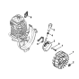FS111 Ignition System