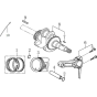 Crankshaft & Piston Assembly