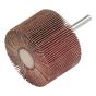 SD10030F Flap Wheel 100 x 30mm - Fine by Garryson - SD10030F