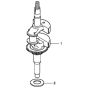 Crankshaft for Honda HRG415C2 (IZY) - PDE Lawn Mower