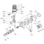 Crankshaft, Piston Assembly for Kubota V1505-EB Engine