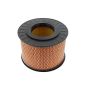 Air Filter fits Hatz 1B20, 1B30 Engine - Replaces 01391800