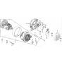 Rotor Stator Assembly